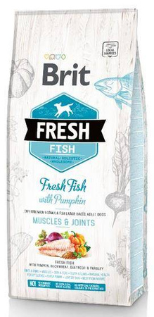 Brit Fresh Dog Adult Large Fish & Pumpkin 12kg