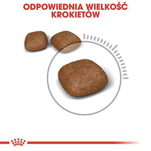 Royal Canin Urinary Care karma sucha dla kotów dorosłych, ochrona dolnych dróg moczowych 2kg