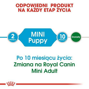 Karma sucha Royal Canin Mini Junior 2kg