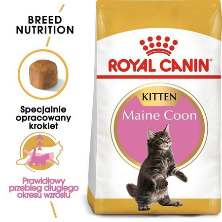 Royal Canin Feline Breed Kitten Maine Coon 36 4kg