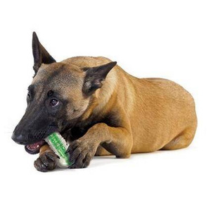 Petstages CrunchCore petite PS263