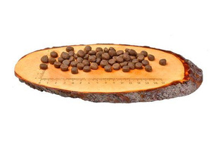 Carnilove Cat Duck & Turkey for Large Breed - kaczka i indyk 6kg