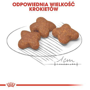 Royal Canin Mini Adult +8 800g