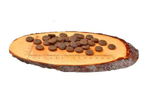 Carnilove Salmon & Turkey Large Adult - łosoś i indyk 1,5kg