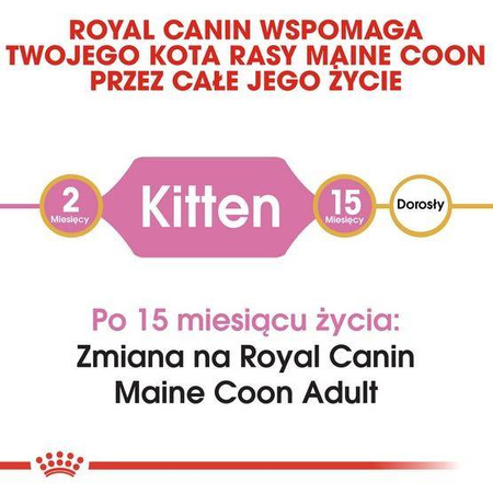 Royal Canin Feline Breed Kitten Maine Coon 36 4kg