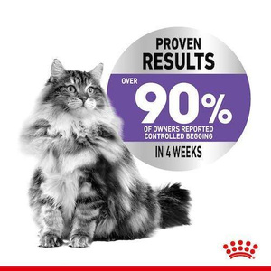 Royal Canin Appetite Control Care karma mokra w galaretce dla kotów dorosłych, domagających się jedzenia saszetka 85g