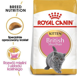 Royal Canin Feline Kitten British Shorthair 2kg